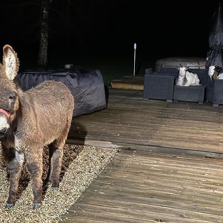 Les Gites De Claire Saint-Gâtien-des-Bois Exterior foto