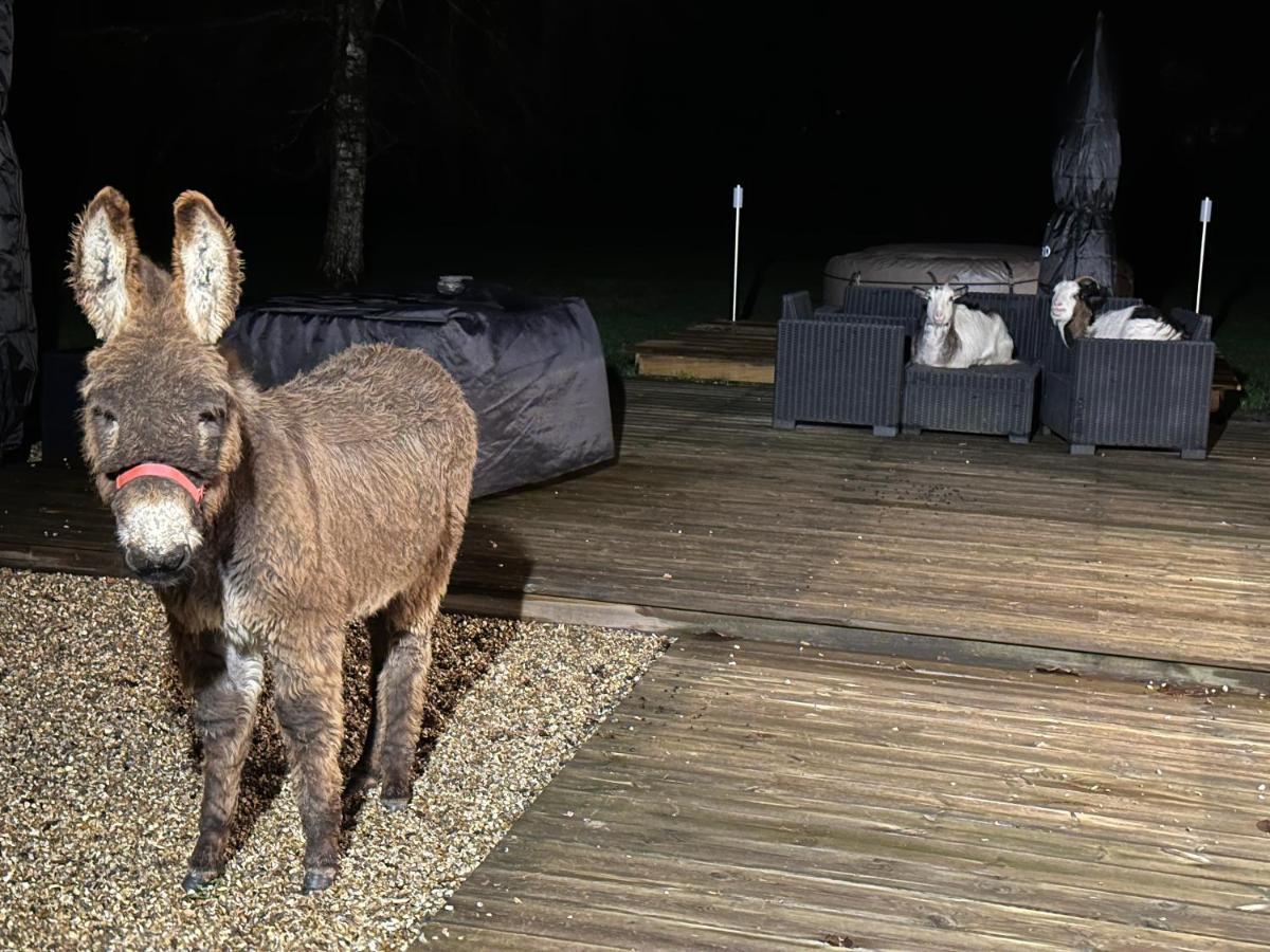 Les Gites De Claire Saint-Gâtien-des-Bois Exterior foto